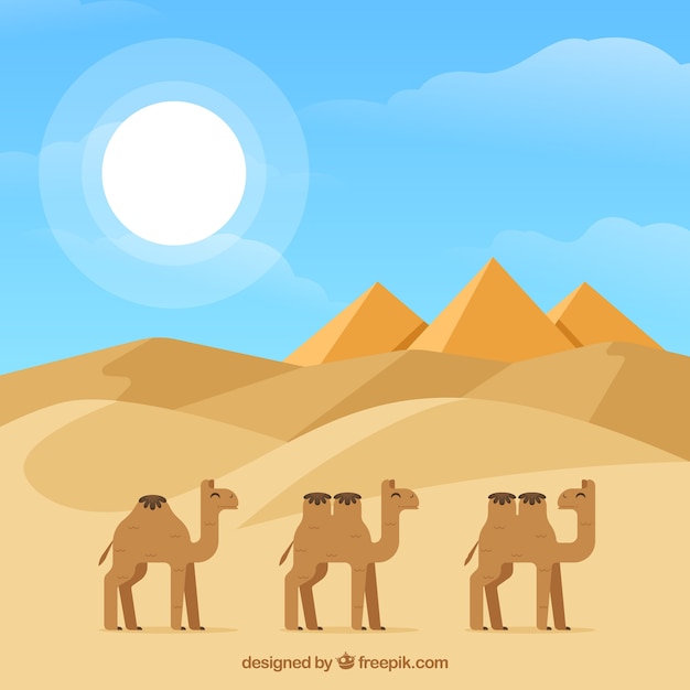 Flat egypt pyramids landscape with camel caravan