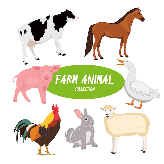 Vector flat farm animal collection design vector