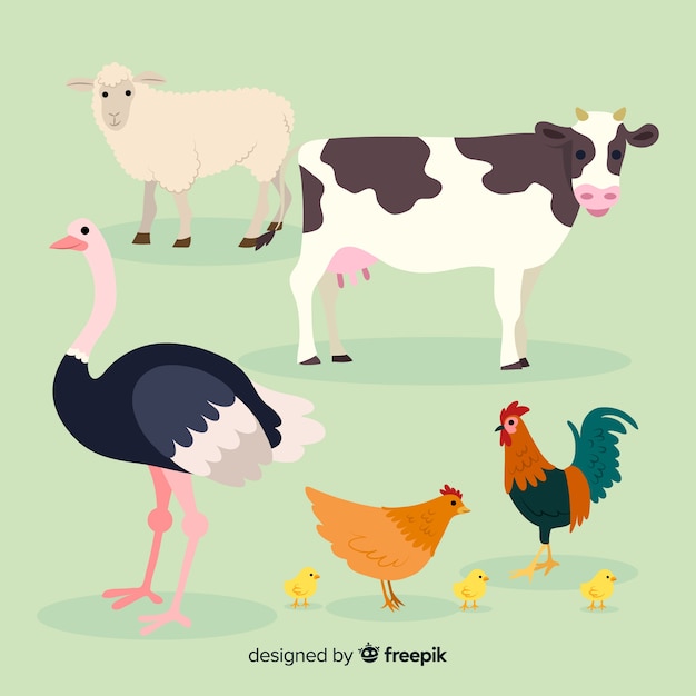 Vector flat farm animal collection