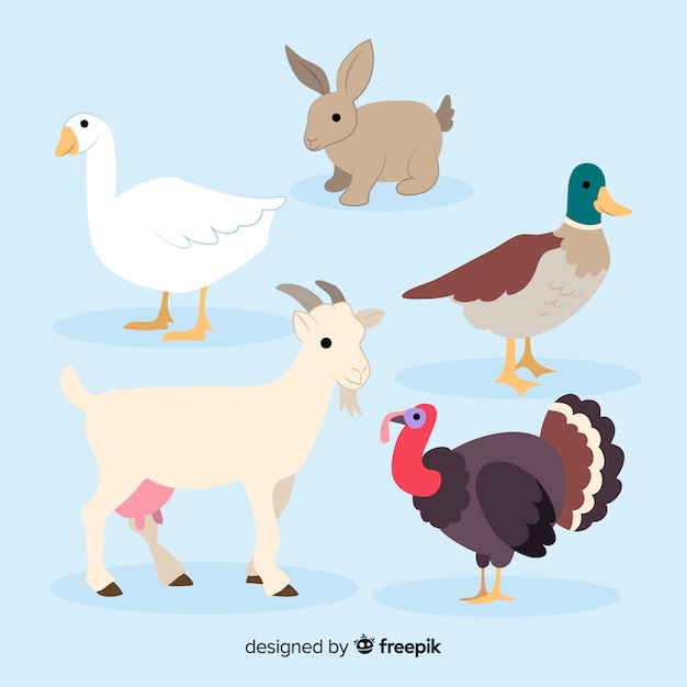 Vector flat farm animal collection