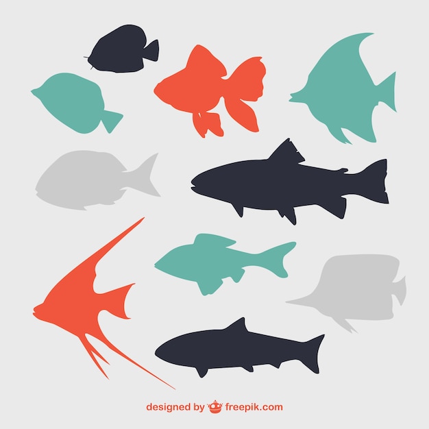 Flat fish silhouettes