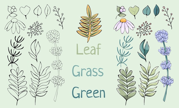 Flat floral herbal botany vector