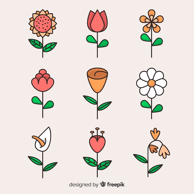 Vector flat flower and leaf collection