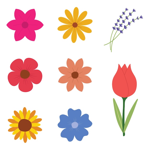 Flat Flower Pack-collectie