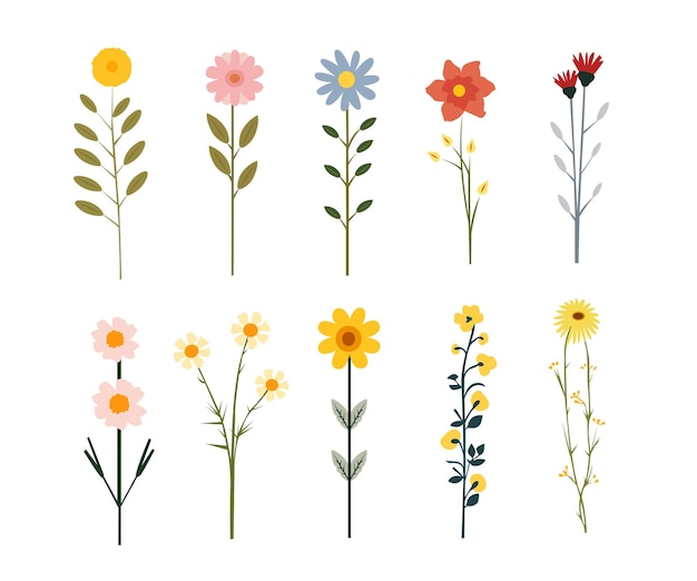 Flat Flower set vector illustration editable eps