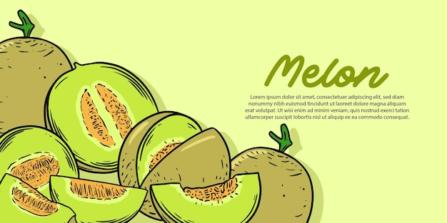 Vector flat fruit melon collection