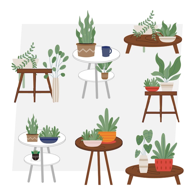 flat homeplants set