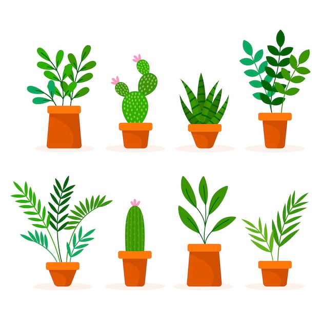 Flat houseplant collection