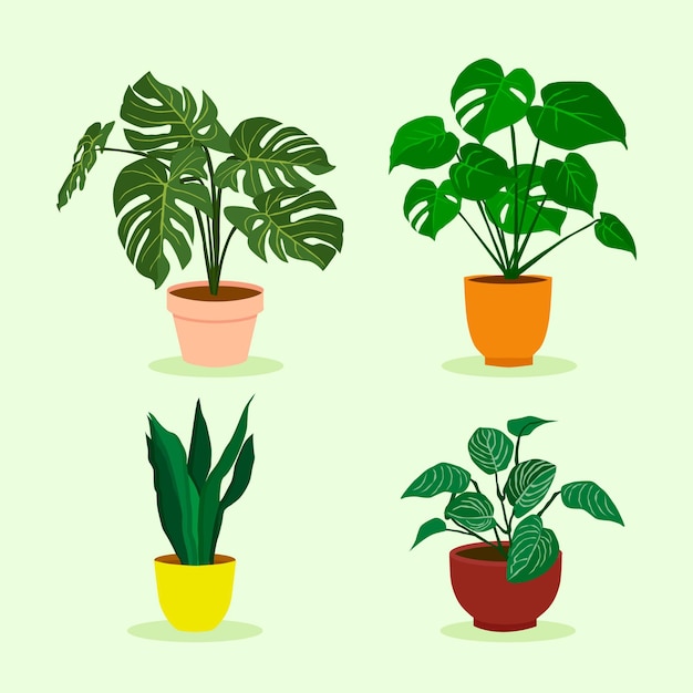 Vector flat houseplant collection