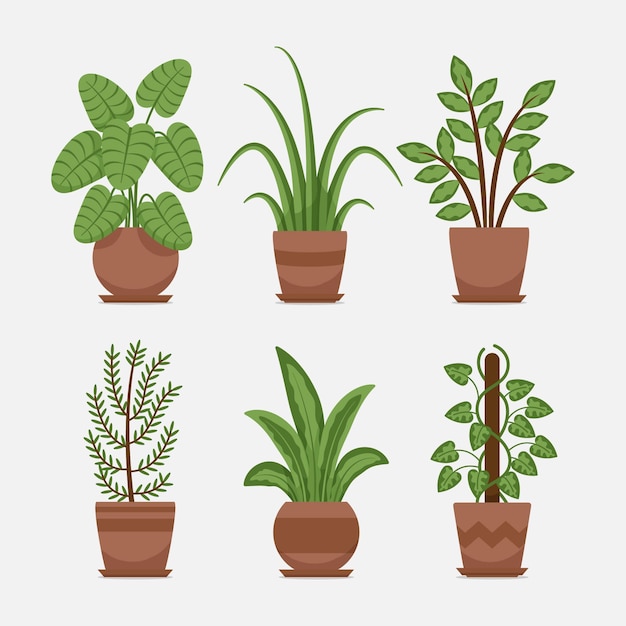 Vector flat houseplant collection