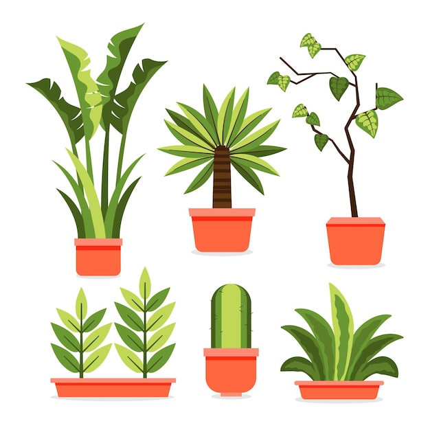 Flat houseplant collection