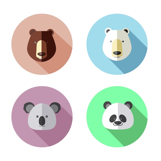 Vector flat icon of bear head koala panda