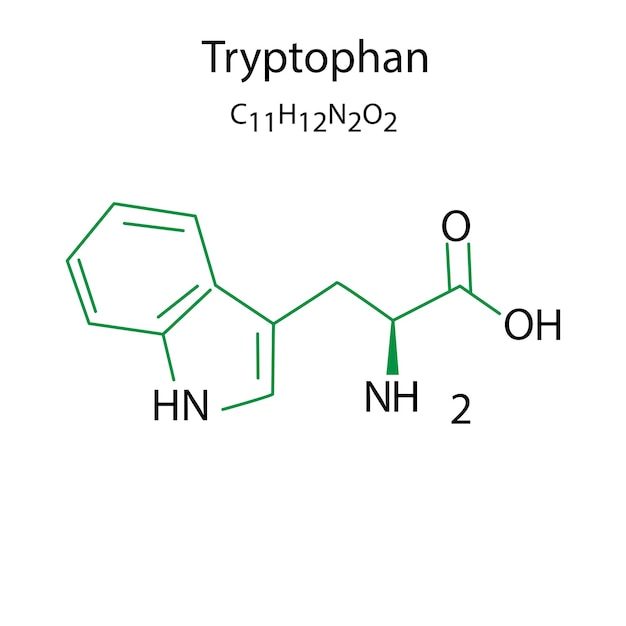 Flat icon with tryptophan formula vector illustration