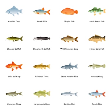 Premium Vector  Flat icons of fish types