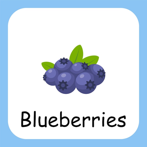 Flat Illustration of Blueberries with Text Vector Design Education for Kids