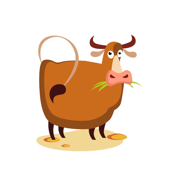 Flat illustration of a cow chewing grass. Cartoon vector illustration