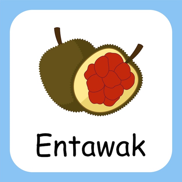 Flat Illustration of Entawak with Text Vector Design Education for Kids