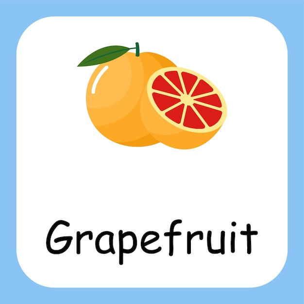 Flat Illustration of Grapefruit with Text Vector Design Education for Kids