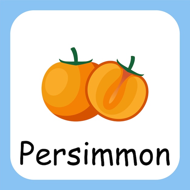 Flat Illustration of Persimmon with Text Vector Design Education for Kids