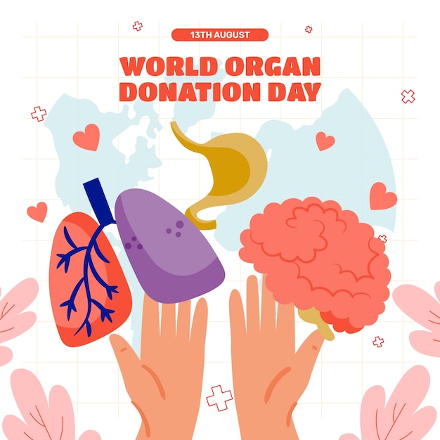 Flat illustration for world organ donation day