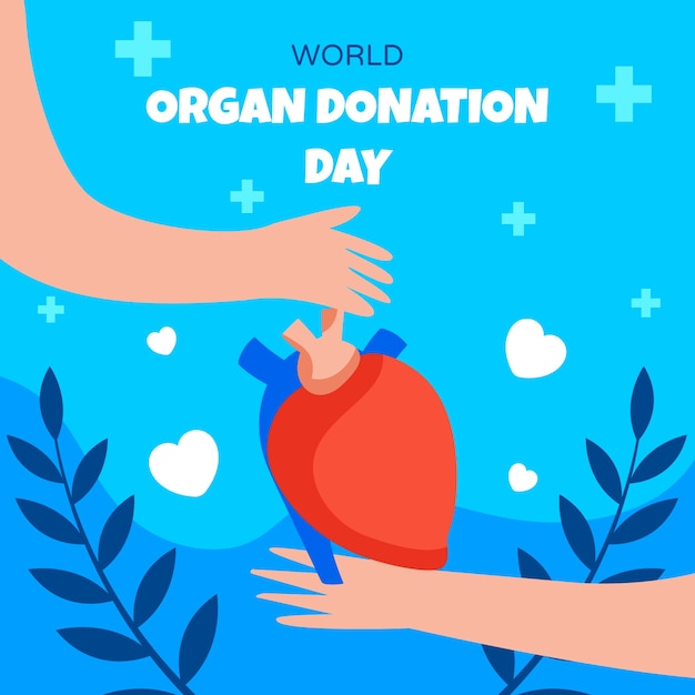 Flat illustration for world organ donation day