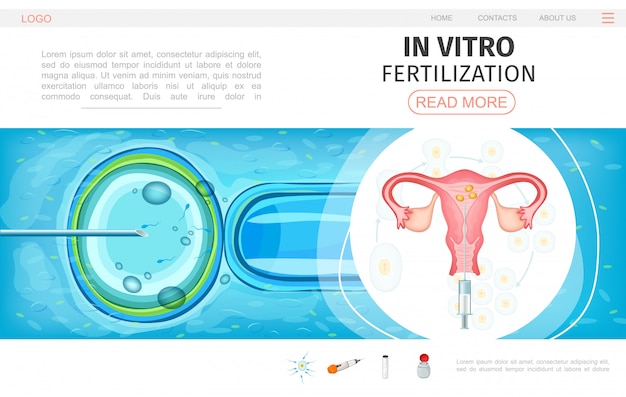 Вектор Плоский шаблон веб-страницы для оплодотворения in vitro с процедурой искусственного оплодотворения, переносом эмбрионов и развитием оплодотворенной яйцеклетки