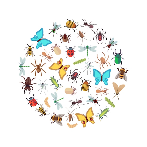 Vector flat insects icons round concept