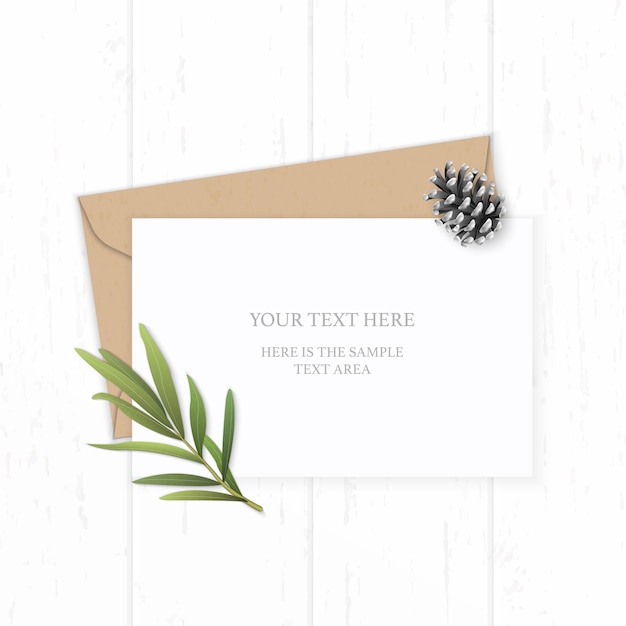 Flat lay top view elegant white composition letter kraft paper envelope pine cone tarragon leaf on wooden background.