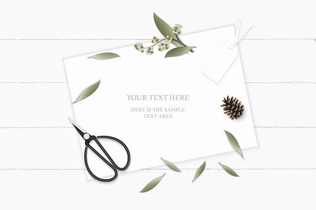 Vector flat lay top view elegant white composition paper botanic garden plant leaf flower pine cone tag and vintage metal scissors on wooden background.