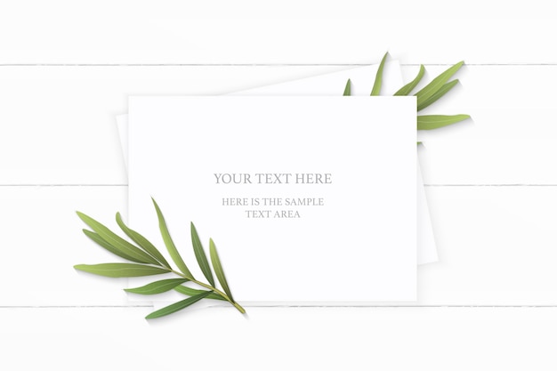 Flat lay top view elegant white composition paper tarragon plant leaf flower on wooden background.