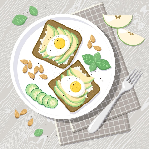 Flat lay vector illustration with healthy breakfast for keto diet sandwiches with avocado and boiled