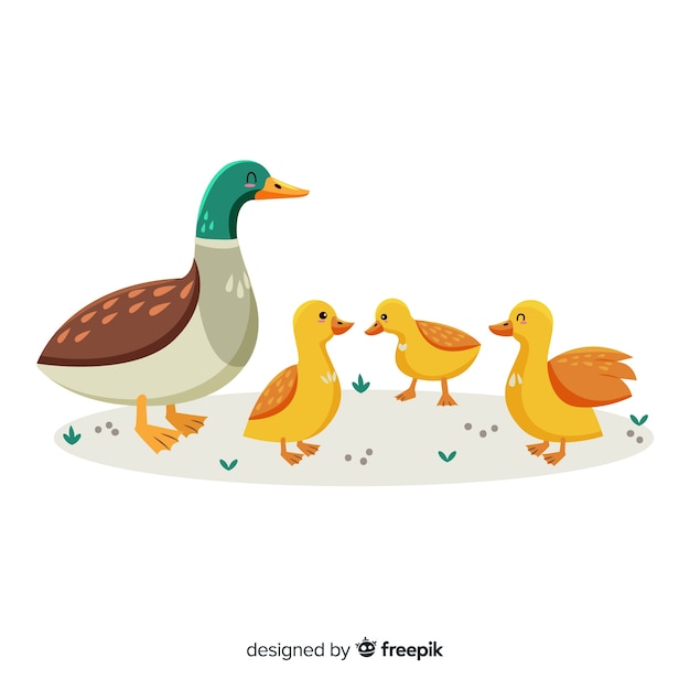 Flat mother duck and ducklings on grass