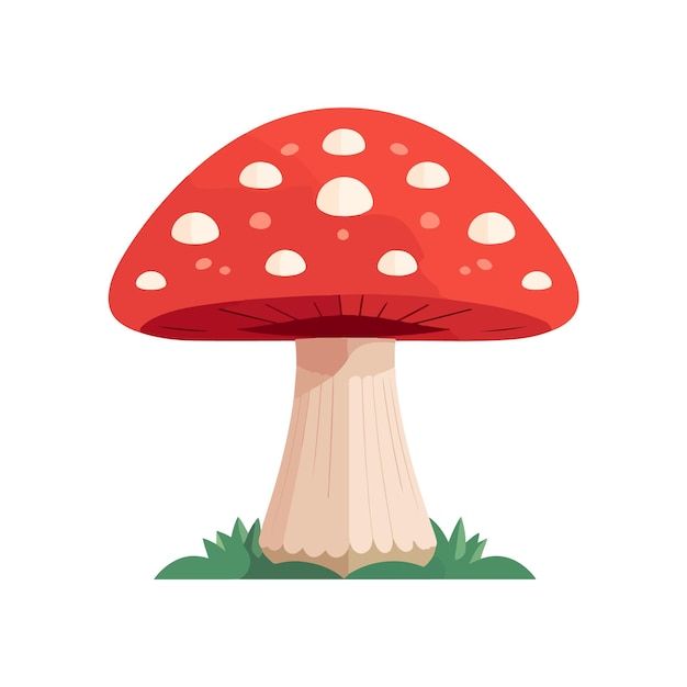 flat mushroom in the grass