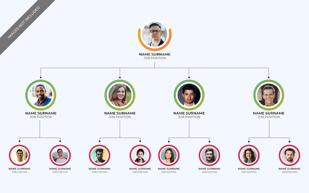 Vettore grafico della gerarchia organizzativa piatta infografica con foto