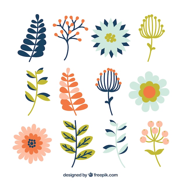 Vector flat pack of different kinds of plants and flowers