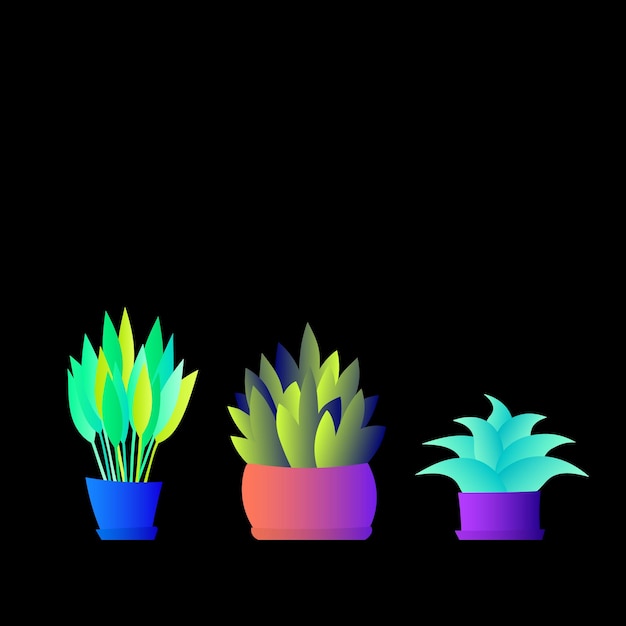 Vector flat plant indoor flower pots leaves foliage trendy vector collection potted plant garden jungle flat design gradient colors outdoor tropical