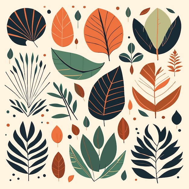 Vector flat rainforest leaf clipart