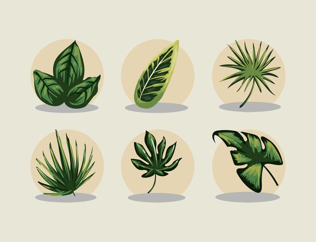 Vector flat realistic leaves set