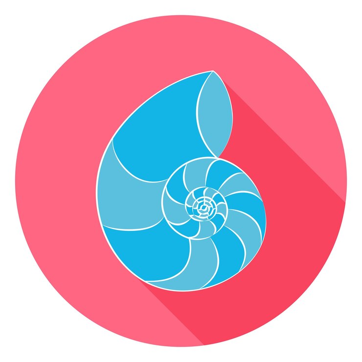 Vector flat sea shell circle icon with long shadow. vector illustration flat stylized