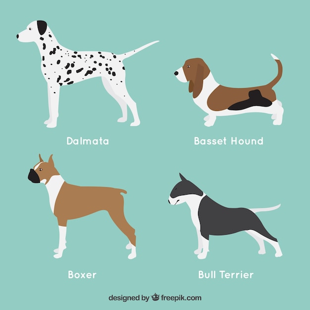 Vettore selezione piatto di quattro cani profilo