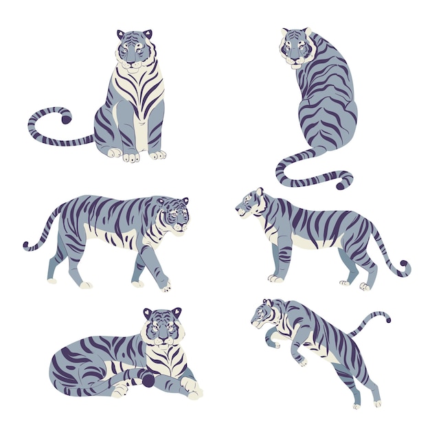 Flat set of cute tigers in various poses isolated on white vector illustration