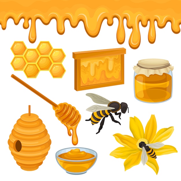 Flat set of icons related to honey production theme. Bee on flower, honeycomb, hive, glass bowl and jar, wooden dipper. Natural product