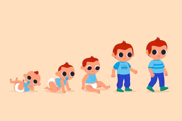Vector flat stages of a baby boy illustration