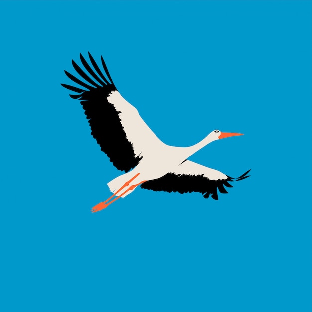 Flat stork