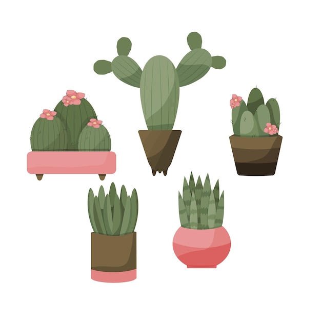 Flat Style Cacti in Flower Pots Home Decor Objects Vector Object