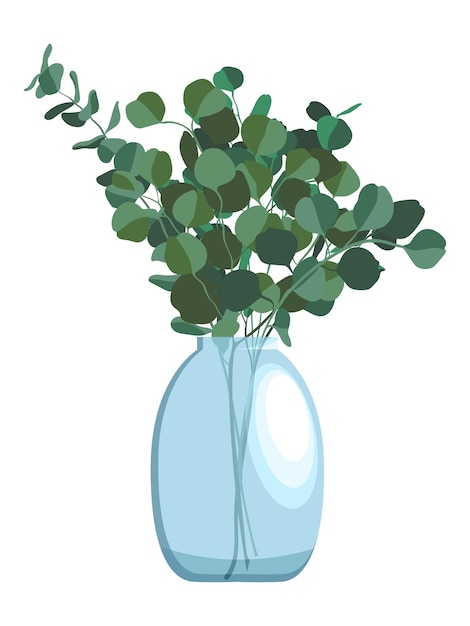 Flat style illustration of bunch of eucalyptus branches in glass vase isolated on white background