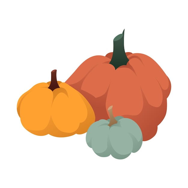 Flat-styled pumpkin patch illustration