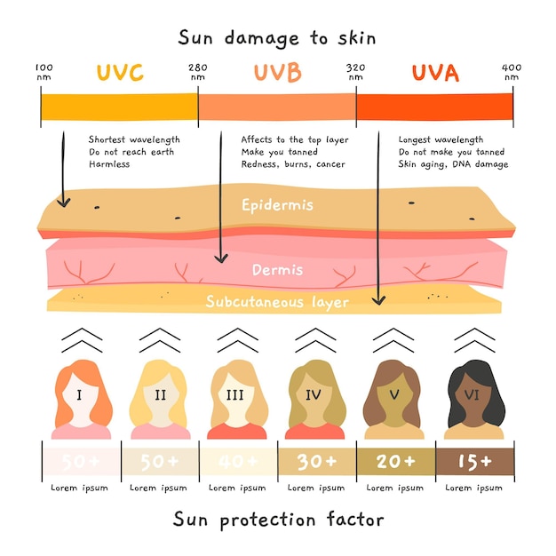 Vettore infografica di protezione solare piatta