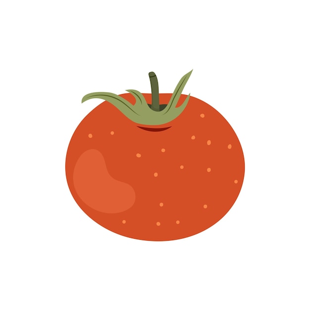 Flat tomato