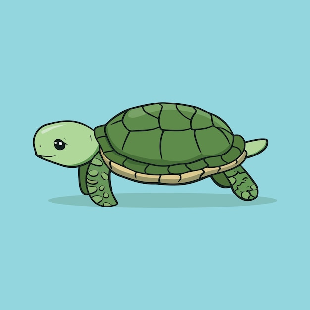 Vector flat turtle illustration cartoon style